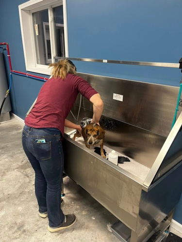 Gallery Image Nicole%202.jpg