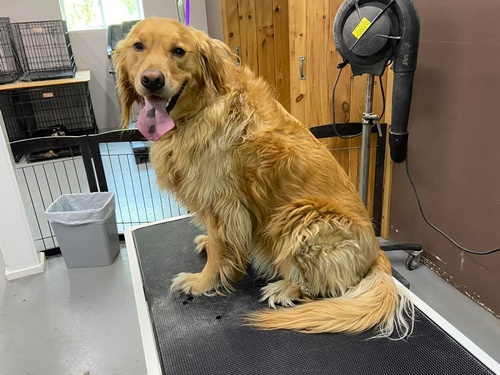 Gallery Image Nicole%203.jpg