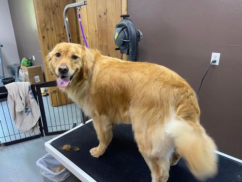 Gallery Image Nicole%204.jpg