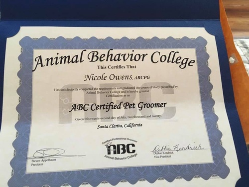 Gallery Image Nicole%205.jpg