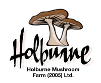 Holburne Mushroom Farm