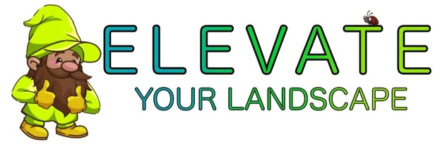 Elevate Your Landscape