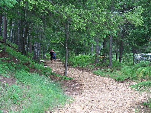 Gallery Image peninsula_pines_lake_walking_path.jpg