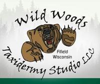 Wild Woods Taxidermy Studio LLC