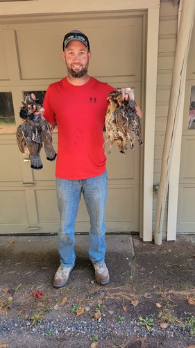 Gallery Image grouse%20hunt.jpg