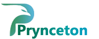 Prynceton (Thailand) Co. Ltd. 