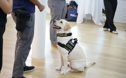 Gallery Image 14.jpg