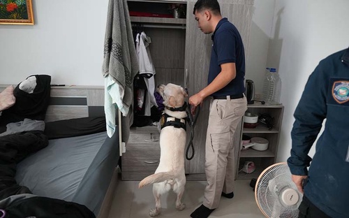 Gallery Image 17.jpg