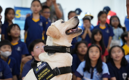 Gallery Image 22.jpg