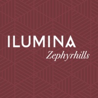 Ilumina Zephyrhills