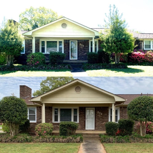 Bush trimming Tuscumbia before and after. Bush trimming Tuscumbia before and after.