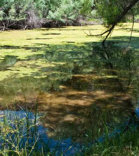 Gallery Image 4.jpg