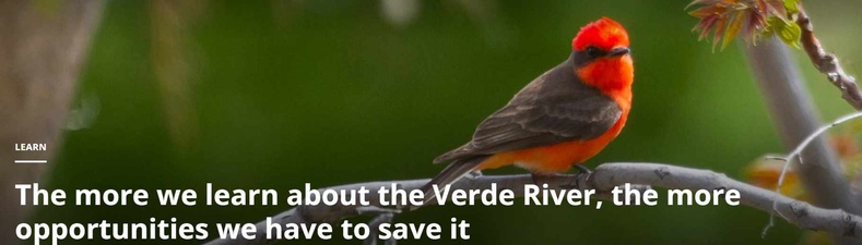 Friends of the Verde River
