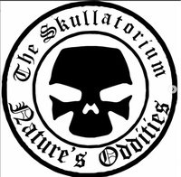 The Skullatorium: Skull Museum & Oddities Parlor The Skullatorium: Skull Museum & Oddities Parlor