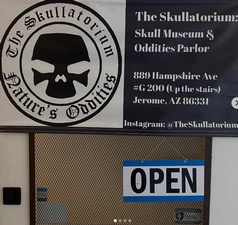 The Skullatorium: Skull Museum & Oddities Parlor The Skullatorium: Skull Museum & Oddities Parlor