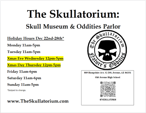 Gallery Image Skullatorium.xmas.png