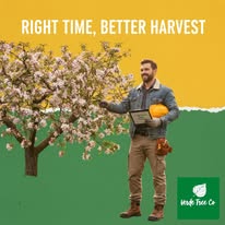 Gallery Image 582147985_122206226252326927_6240010967944515027_n.jpg