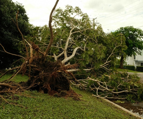 Gallery Image Untitled%20%201.jpg