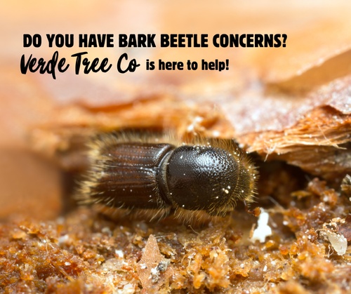 Gallery Image Untitled.jpg