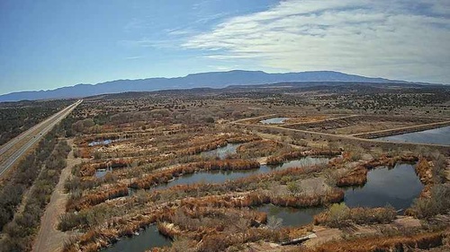 Gallery Image Untitled%202.jpg