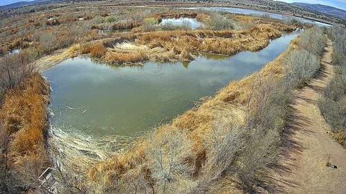 Gallery Image Untitled%205.jpg