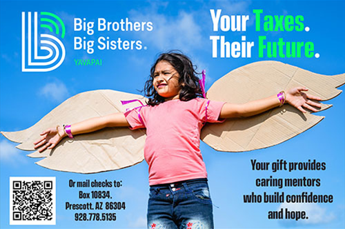 Gallery Image BigBrotherBigSister.Taxes.png