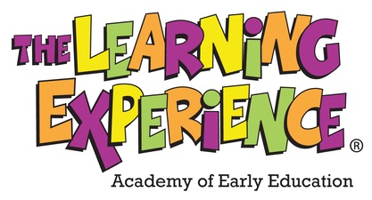 The Learning Experience