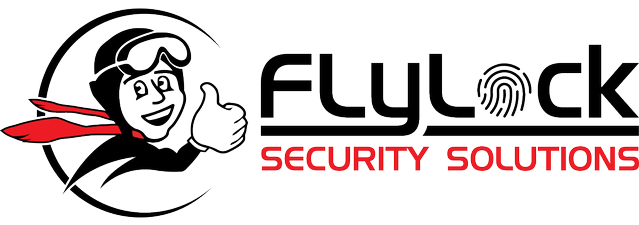 FlyLock Security Solutions 