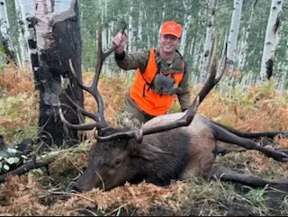 Gallery Image Screenshot%202026-02-12%20091555.png