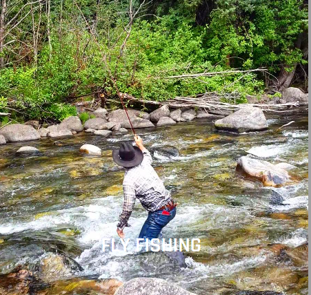 Gallery Image Screenshot%202026-02-12%20091810.png