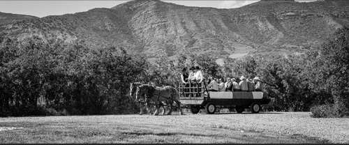 Gallery Image IMG_2204.JPG