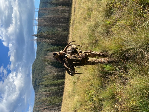 Gallery Image IMG_2305.jpg