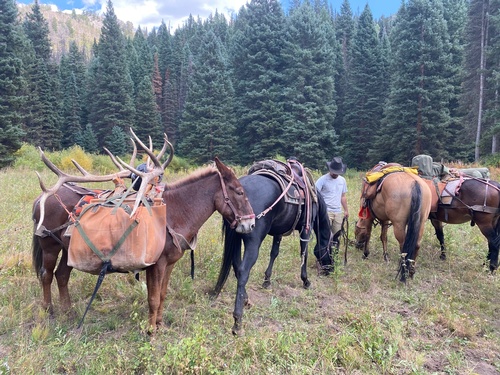 Gallery Image IMG_2336.jpg