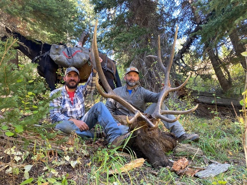 Gallery Image IMG_2409.jpg