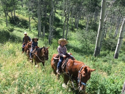 Gallery Image IMG_2417.JPG