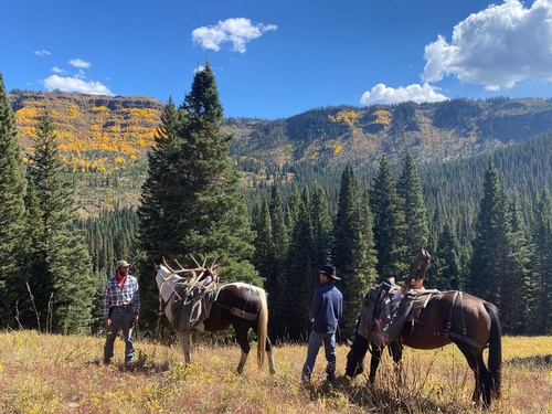 Gallery Image IMG_2434.jpg