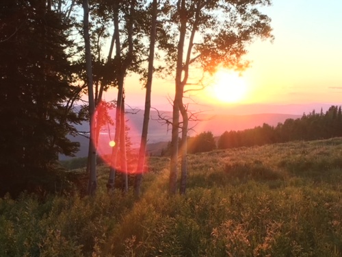 Gallery Image IMG_2441.JPG