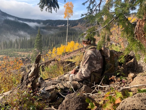 Gallery Image IMG_2471.jpg