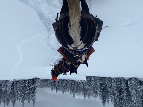 Gallery Image IMG_2523.jpg