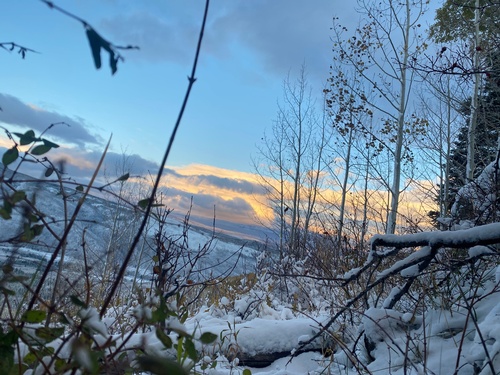 Gallery Image IMG_2555.jpg