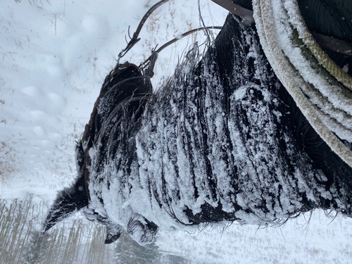 Gallery Image IMG_2613.jpg