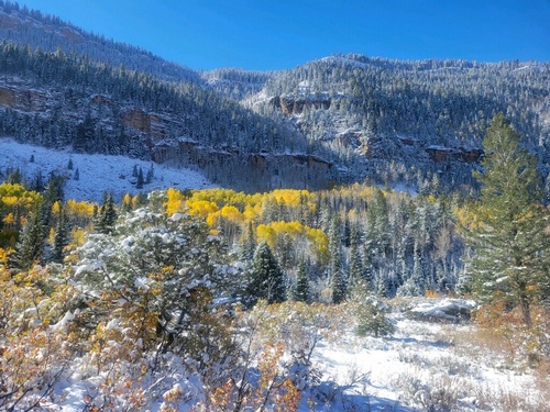 Gallery Image IMG_2614.JPG