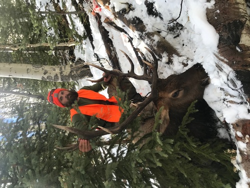 Gallery Image IMG_2746.jpg