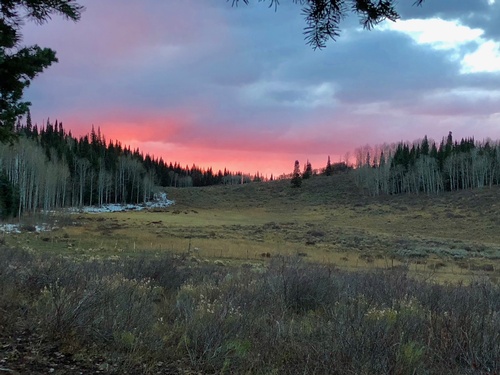 Gallery Image IMG_3093.JPG