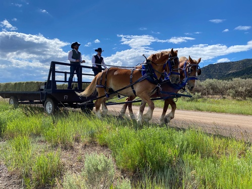 Gallery Image IMG_3271.jpg