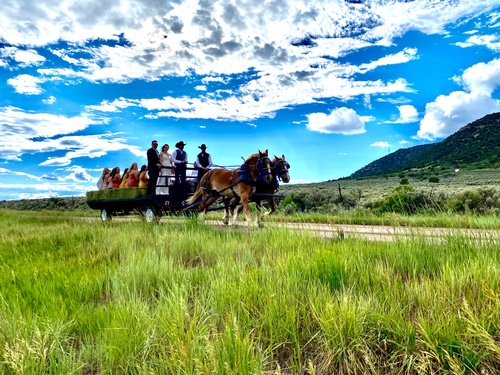 Gallery Image IMG_3291.jpg