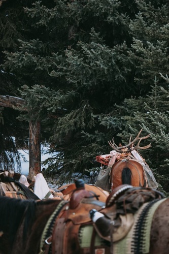 Gallery Image IMG_3351.jpg