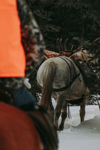 Gallery Image IMG_3357.jpg