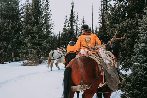 Gallery Image IMG_3366.jpg