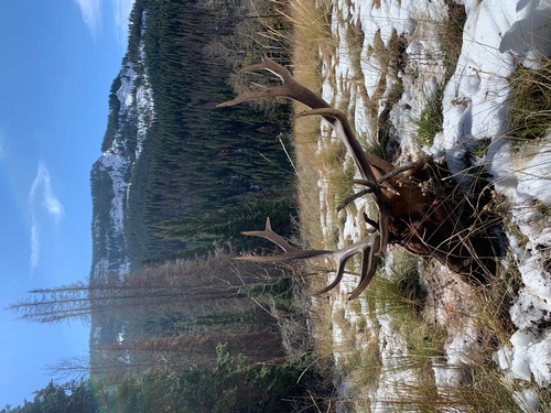 Gallery Image IMG_4606.jpg